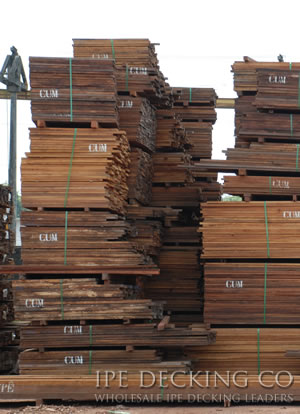 Wholesale Cumaru